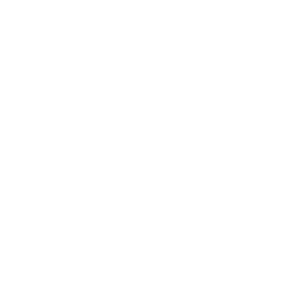 Transforma VIP